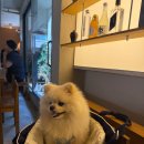 성수 이미지