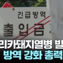 추석 앞두고 또 아프리카돼지열병...방역 총력 이미지