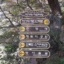 장자산체육공원 이미지