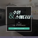 맥심테라피