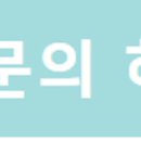 블라디 투어