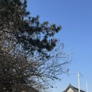 매화한정식 | 청주 송년모임 한정식추천 상춘고택 매화정식 내돈내산 후기