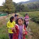 다은어린이집 이미지