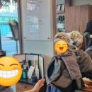 금오9길 이미지