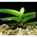 서반농장 이미지