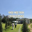 카페산이다 - 3082 | 태안 여행 예쁜 대형 카페 추천 카페산후리 내돈내산 후기
