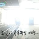 서촌 블루스 이미지