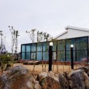 제주키즈풀빌라 나무와 아이 이미지