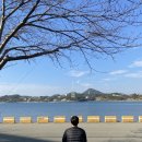 오늘도 화창 이미지