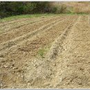 샘물농장 이미지