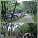 '희리산휴양림' 캠핑&amp;시간이 멈춘 마을 '서천 판교' 나들이(26.8.2~4) 이미지