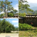 남원 실상사 이미지