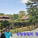 죽림5로 이미지