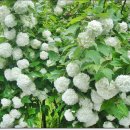 밝은마음 이미지