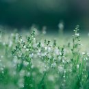 신나는 과학실험 놀이터 | 충격! 내가 직접 해본 기상천외 과학 실험, 결과는?