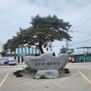 태안 신두리 해안 사구 탐방, 걷기대회에 참여해보세요!!
