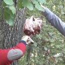 통미마을회관 이미지