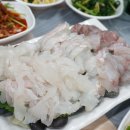 돌산 횟집 네이버블로그