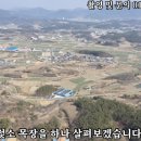 성지골 목장 네이버블로그