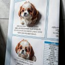 정이동물병원 | 헐... 우리 댕댕이냥이 컨디션 떡락해서 멘붕 왔을 때 찾는 의정부고양이동물병원 솔직 후기