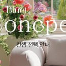 블루엣