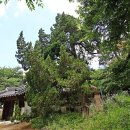 우각리 오의정 이미지