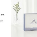 알라딘KOREA 이미지