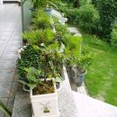 하얀민박 이미지