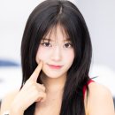 529 이미지