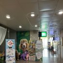 와우쥬 양산점 이미지