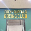 금천구 간판디자인. '커키버팔로복싱클럽' 복싱장간판 복싱클럽간판 권투장간판 제작 / 비조명간판...