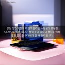 벨카 이미지