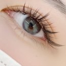 오래쉬(O’LASH) 이미지