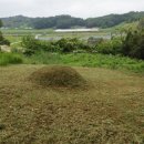 홍북읍 매산마을회관 이미지