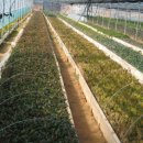 승호농장 이미지