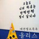 올리스(위례) | 경기:) 애견 24시 셀프목욕 올리스 위례점 후기