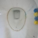 동읍196 | 창원동읍 입주청소 칠성그린아파트 꼼꼼하고 확실한 입주청소 후기