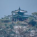 춘설 이미지