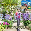 화려한마실