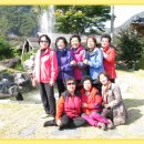 기지초교 이미지