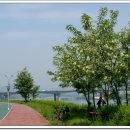 잠실역 9번출구 공원 이미지