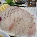 한라장어&활어