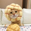 건대입구역-14 이미지