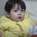 가든옷 이미지