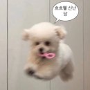 본레브호텔 | 대구 봉덕동 속눈썹 펌 추천 레브스튜디오 솔직 후기