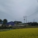제월민박 이미지