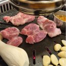 뒷목잡힌MR.DON | 세종시 멜젓이 맛있는 존맛 뒷고기집, 뒷목잡힌MR.DON