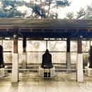 기구한 팔자, 인천시립박물관 송·원·명 중국 철종 셋 이미지