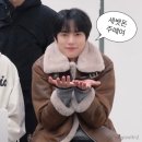 321베렌도 이미지