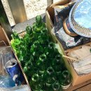 옥계쿨펜션 이미지